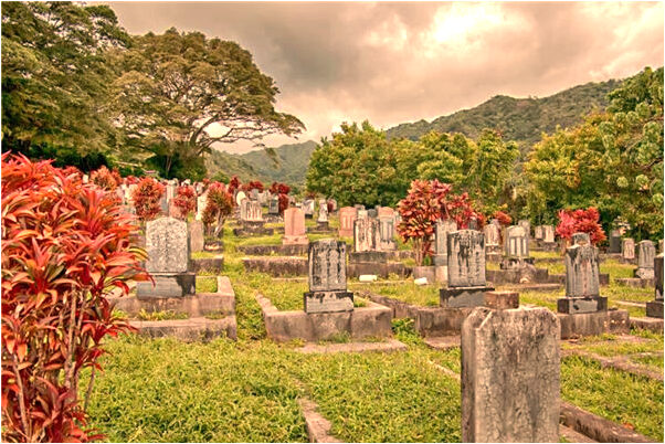 夢見電腦手機丟了是什麼意思_周公解夢官網