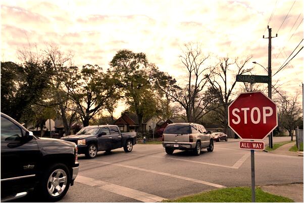 夢到猴子牽著許多老虎和獅子怎么樣_周公解夢官網