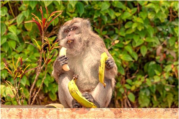 夢到體恤和短褲是什麼啟示_周公解夢官網