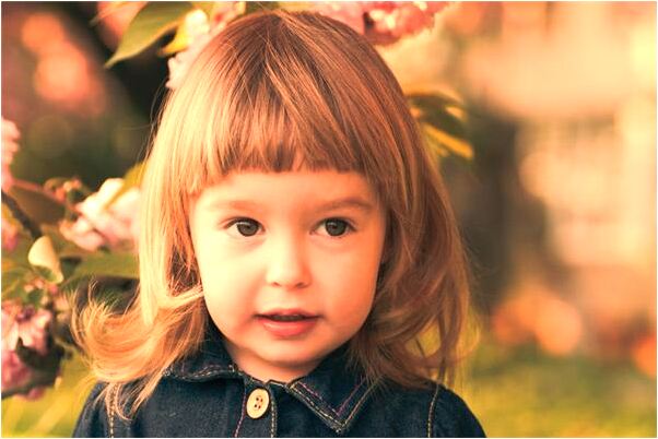 夢見帶狗去打針預兆了什麼嗎_周公解夢官網