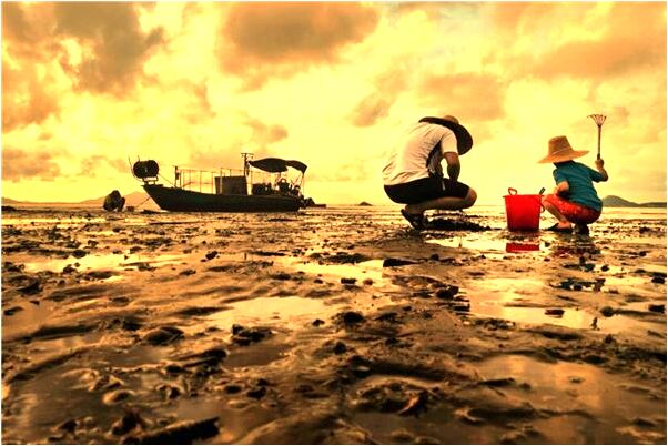 夢見掉了一縷頭髮是什麼兆頭_周公解夢官網