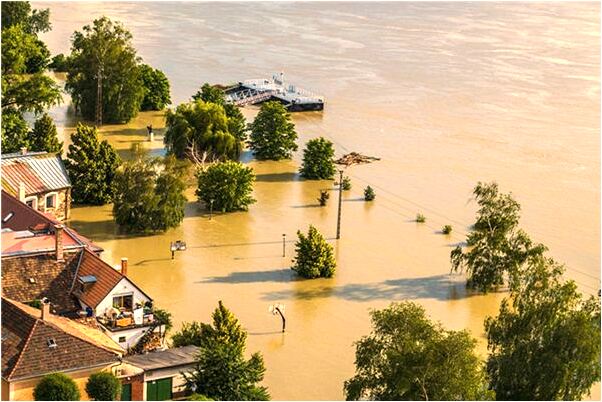 夢到了從土裡挖出好多雞蛋什麼寓意_周公解夢官網