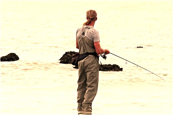 夢見已故媽媽抱一隻小豬意味著什麼_周公解夢官網