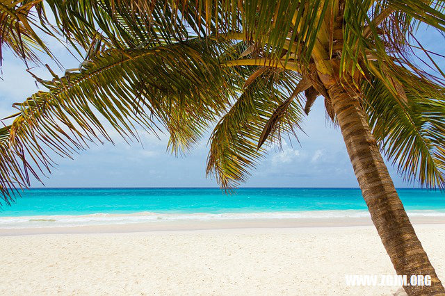夢見身邊的朋友發財了_周公解夢夢到身邊的朋友發財了是什麼意思_做夢夢見身邊的朋友發財了好不好_周公解夢官網