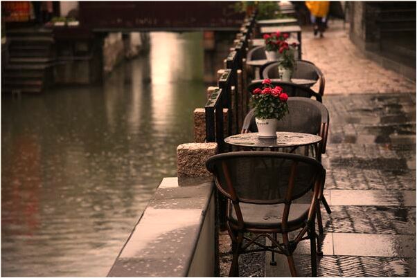 夢到了動物當我是媽媽有什麼意思嗎_周公解夢官網