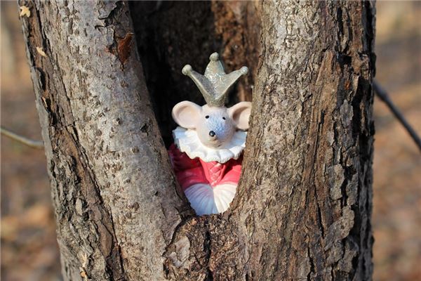 1996屬鼠人近十年命運_十二生肖