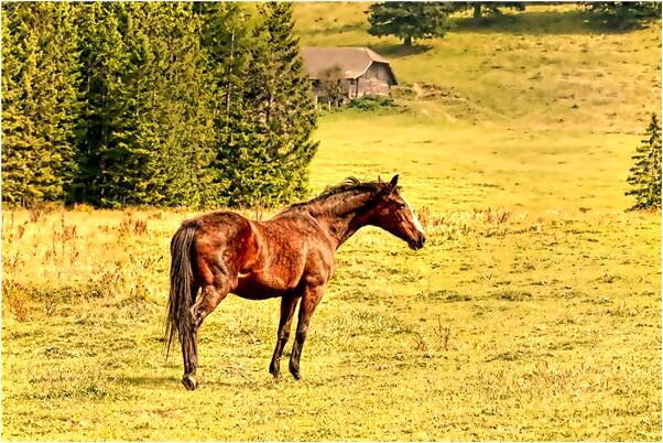 夢到了同事開新店我去幫忙很累預示什麼_周公解夢官網