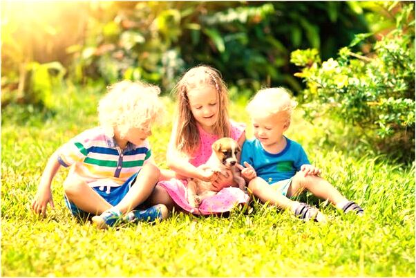 夢到了老師打我屁股有什麼寓意嗎？_周公解夢官網