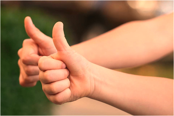 夢到蛇在水桶鉗夾死代表著什麼？_周公解夢官網