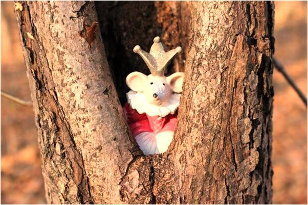 夢到了兩條死蜈蚣是什麼預兆_周公解夢官網