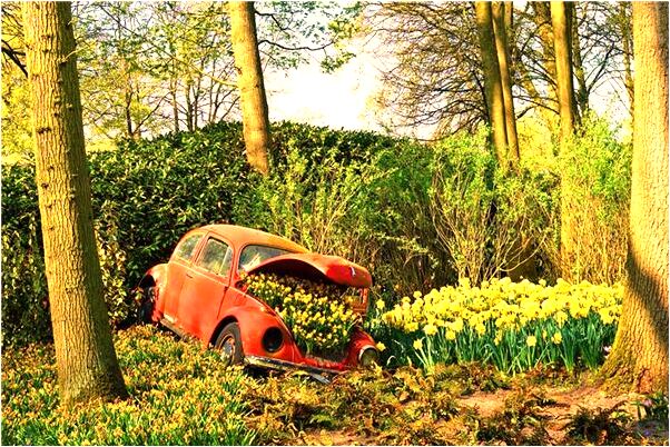 夢到在高處預示著什麼_周公解夢官網