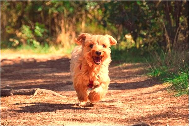 夢見吊頂塌下來漏水怎么回事_周公解夢官網