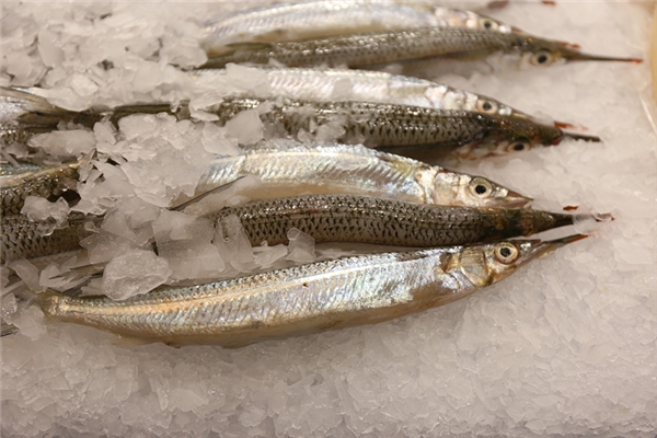 夢到買了好多凍魚的預兆_周公解夢