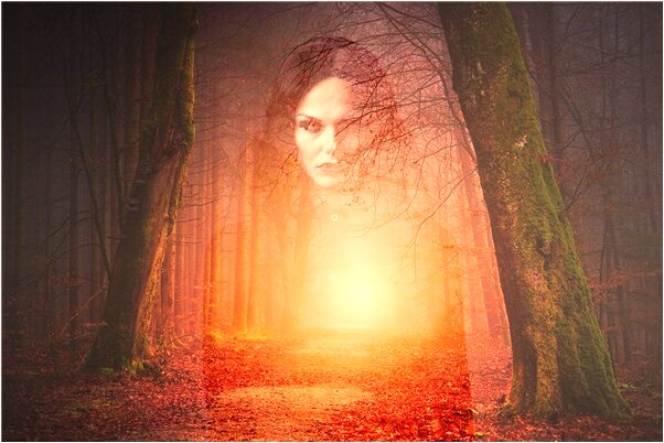 夢到了買的新車進水代表什麼_周公解夢官網