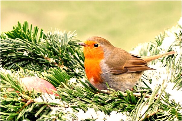 夢到有口痰在牆上是好是壞_周公解夢官網