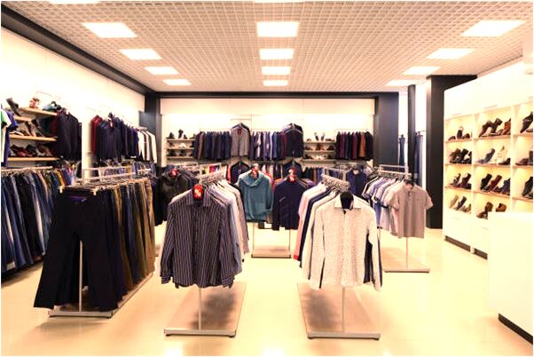 夢到了貓咪引路有什麼預兆_周公解夢官網