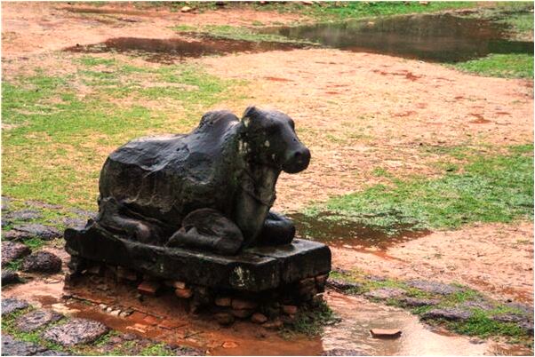 夢到大白狗有什麼說法_周公解夢官網