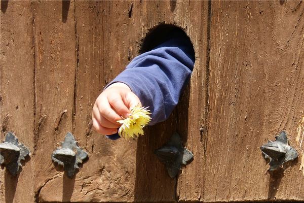 夢到了胳膊被砍有什麼寓意嗎_周公解夢