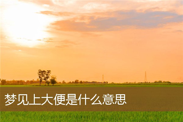 夢見上大便是什麼意思_周公解夢