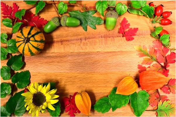 夢見紙人小女孩叫我開門有什麼寓意嗎？_周公解夢官網