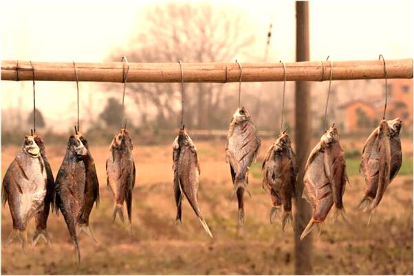 夢到了落花紛紛會是什麼預兆_周公解夢官網