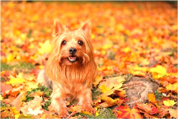 夢見自己心裡很幸福是什麼意思_周公解夢官網