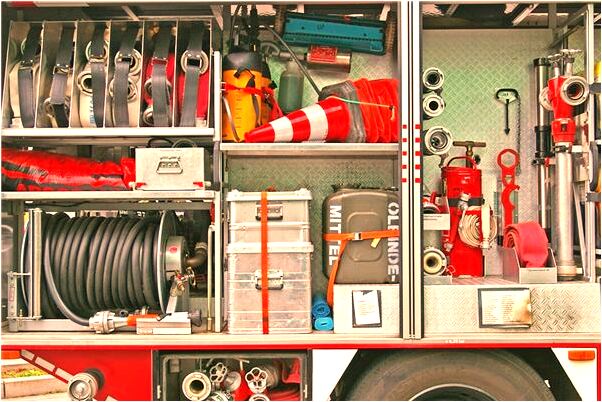 夢到被狗熊和狗追是什麼意思_周公解夢官網