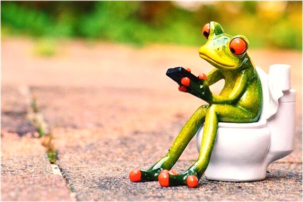 夢到了被兇惡的狗和貓咬是什麼啟示_周公解夢官網