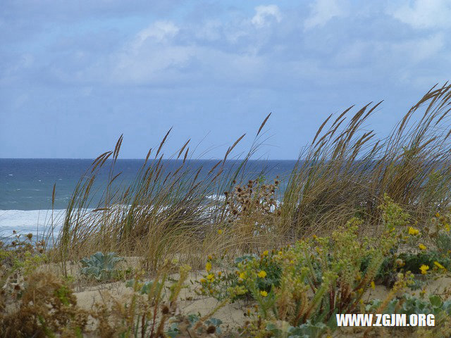 夢見別人給我糖果吃_周公解夢夢到別人給我糖果吃是什麼意思_做夢夢見別人給我糖果吃好不好_周公解夢官網