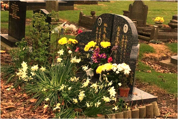 夢到自己哭了又笑了是咋回事_周公解夢官網