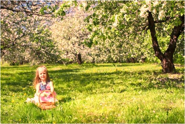 夢見一條蛇要咬我會有什麼預兆_周公解夢官網
