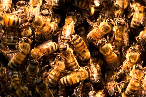 夢到看到女人穿新裙子笑了是好的徵兆嗎_周公解夢官網