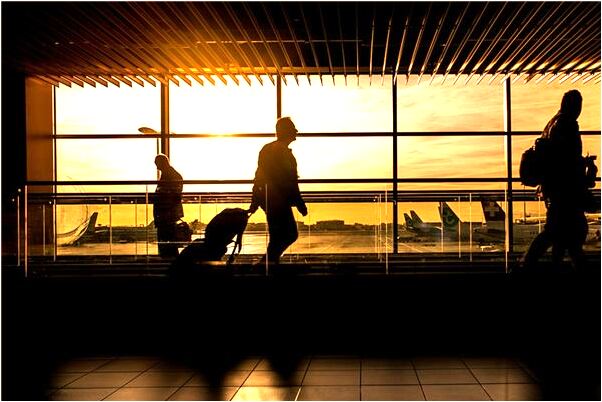 夢到老鼠在床上意味著什麼_周公解夢官網