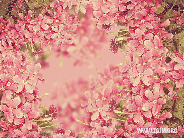 夢見長得畸形的人_周公解夢夢到長得畸形的人是什麼意思_做夢夢見長得畸形的人好不好_周公解夢官網