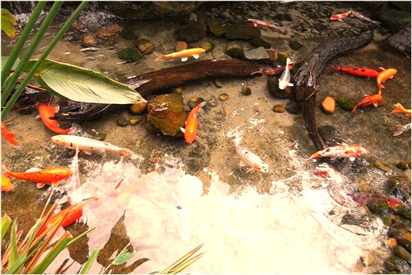 夢到別人的感情亂七八糟預示什麼_周公解夢官網