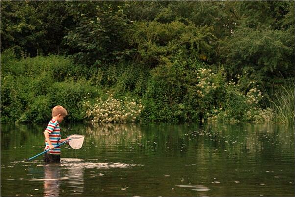 夢見兔子肚子破了死了預示什麼_周公解夢官網