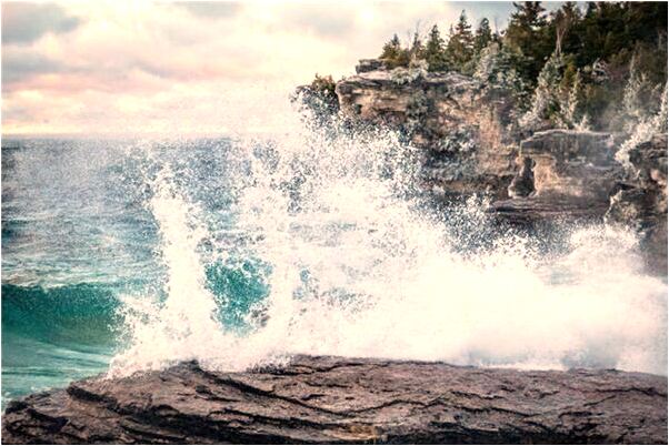 夢到了老者釣鯊魚什麼寓意_周公解夢官網