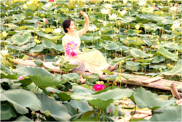 夢見兩個石獅子一下全塌了下來是啥預兆_周公解夢官網