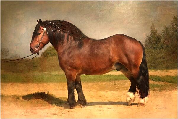 夢見舅舅跟舅媽在夢中說我是什麼預兆？_周公解夢官網