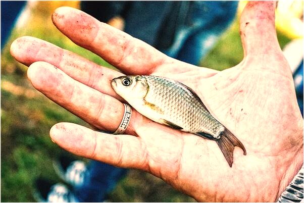 夢到別人給我帶戒指是什麼意思？_周公解夢官網