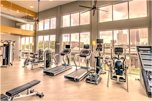 夢到四隻眼睛半截身的蛇是吉兆嗎?_周公解夢官網