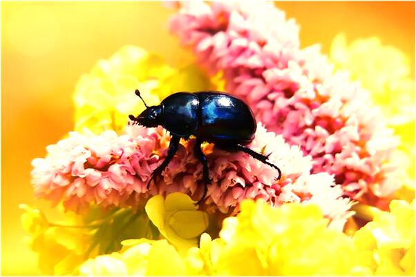 夢到老婆哭會是什麼預兆_周公解夢官網