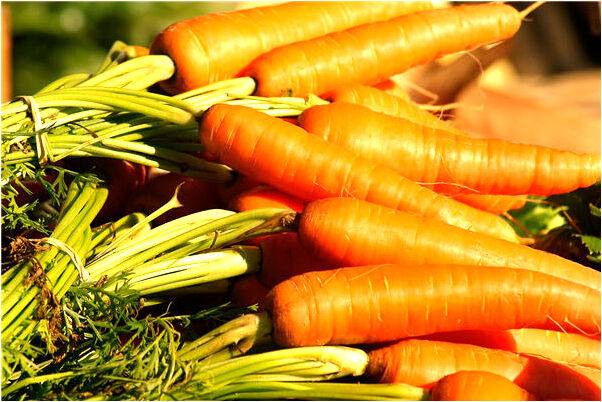 夢見能見我用鐵絲殺人是什麼啟示_周公解夢官網