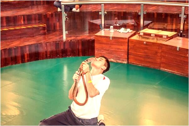 夢到了家裡收到當作彩禮的被子預示了什麼_周公解夢官網