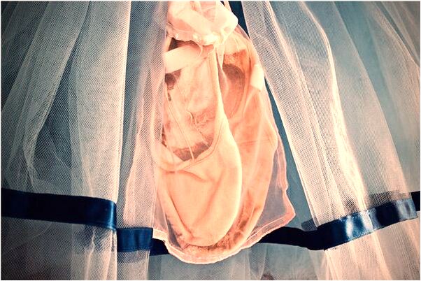 夢到了夢只兩隻小狗追我會有什麼預兆_周公解夢官網