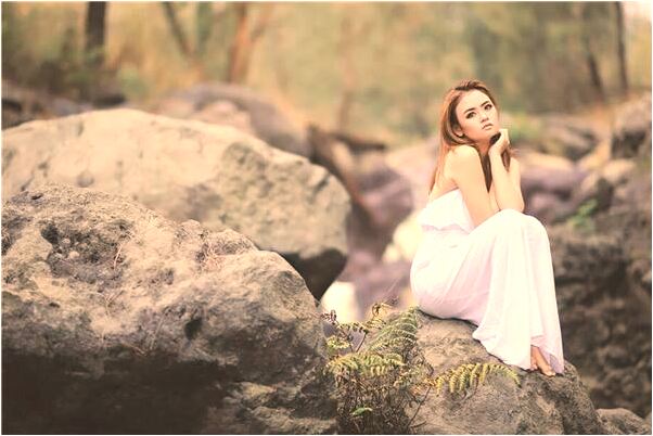 夢到了四隻白虎是什麼意思_周公解夢官網