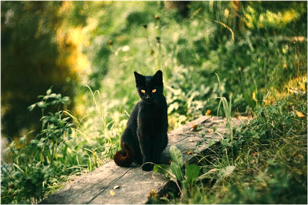 夢見雲彩爆炸是啥預兆_周公解夢官網