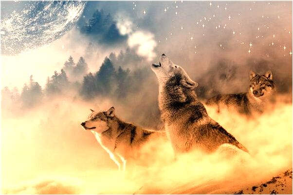 夢到樹上掛滿果子是什麼徵兆_周公解夢官網