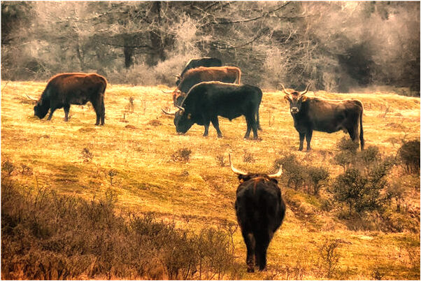 夢到了房間有鬼會是什麼預兆_周公解夢官網