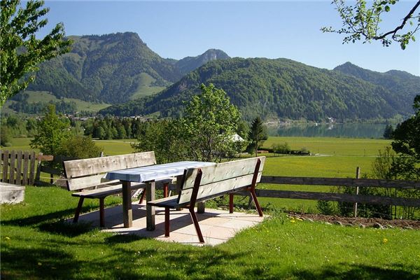 夢到桌子板凳有什麼寓意嗎？_周公解夢